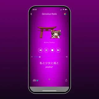VIP Radio project visual