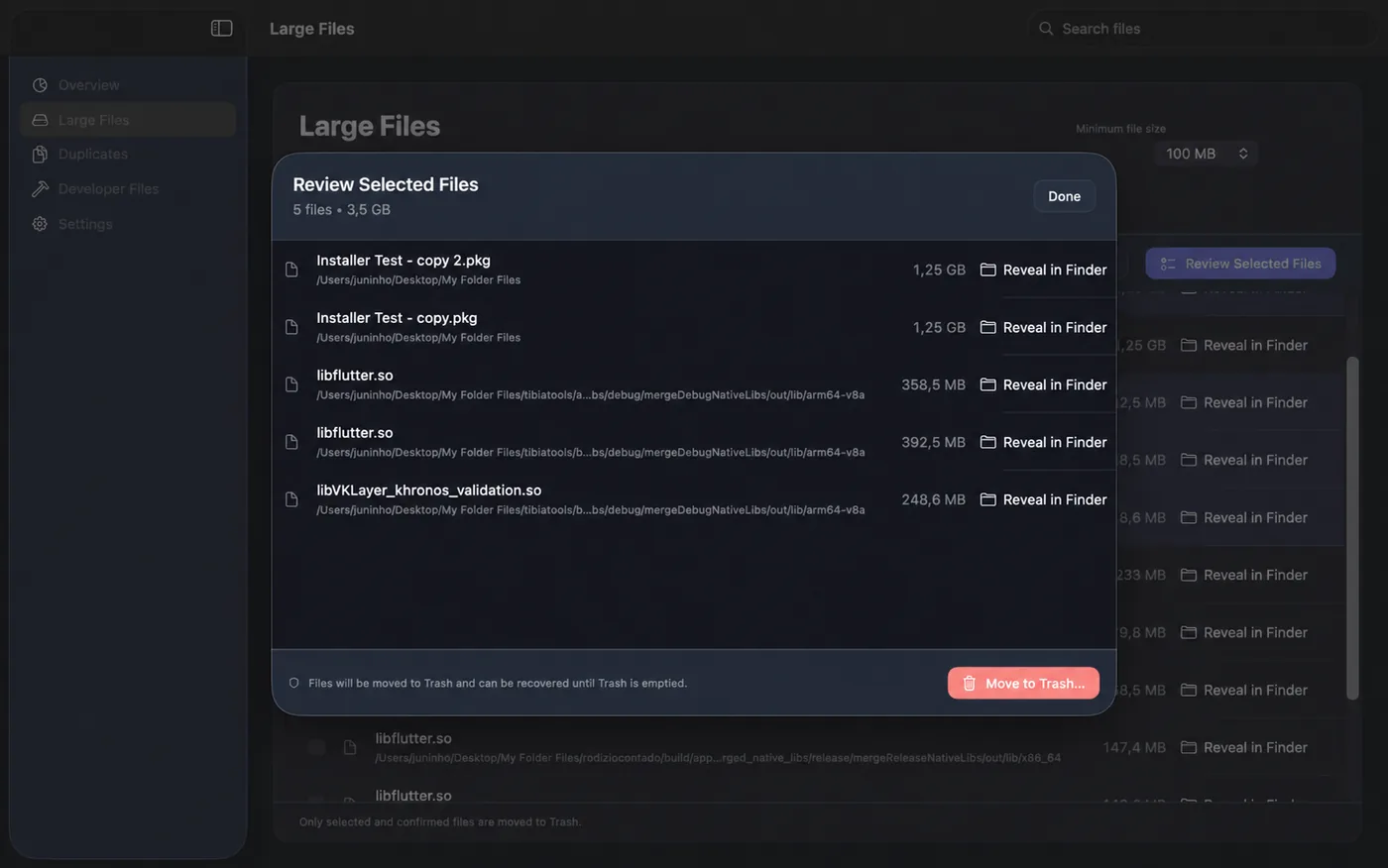 JJ Storage Cleaner review selected files window before moving files to Trash